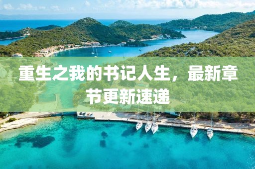 重生之我的書記人生，最新章節(jié)更新速遞