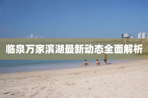臨泉萬家濱湖最新動態(tài)全面解析