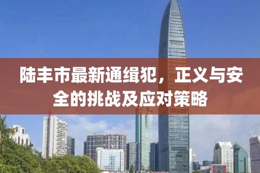 陸豐市最新通緝犯，正義與安全的挑戰(zhàn)及應(yīng)對策略