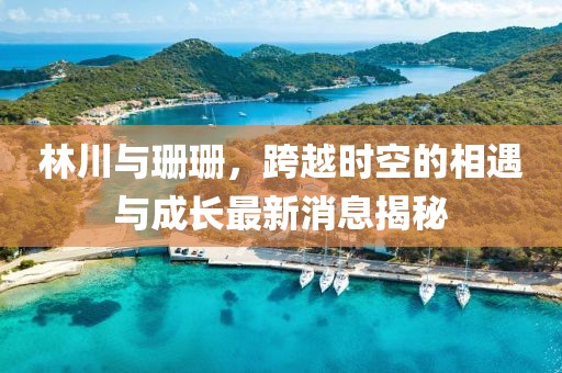 林川與珊珊，跨越時空的相遇與成長最新消息揭秘
