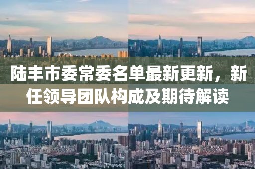 陸豐市委常委名單最新更新，新任領(lǐng)導(dǎo)團(tuán)隊(duì)構(gòu)成及期待解讀