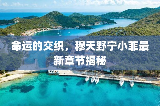 命運的交織，穆天野寧小菲最新章節(jié)揭秘