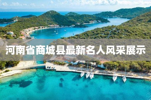 河南省商城縣最新名人風(fēng)采展示