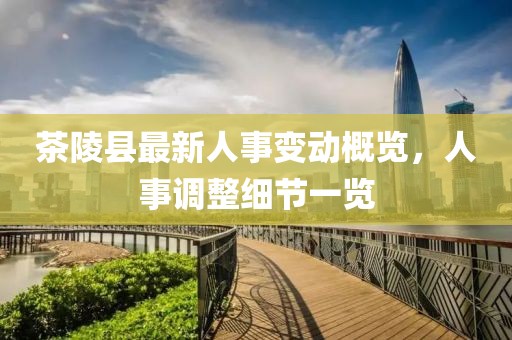 茶陵縣最新人事變動(dòng)概覽，人事調(diào)整細(xì)節(jié)一覽