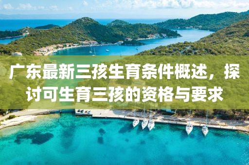 廣東最新三孩生育條件概述，探討可生育三孩的資格與要求