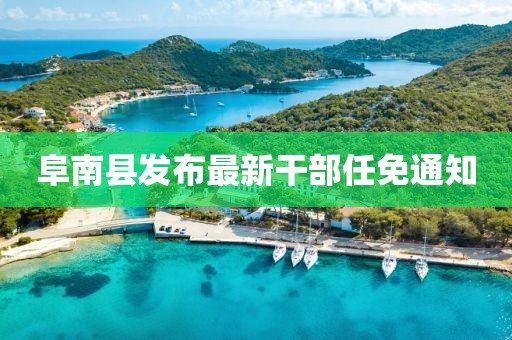 阜南縣發(fā)布最新干部任免通知