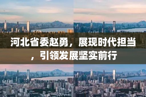河北省委趙勇，展現(xiàn)時代擔(dān)當(dāng)，引領(lǐng)發(fā)展堅實前行