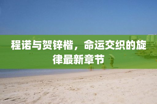 程諾與賀鋅楷，命運交織的旋律最新章節(jié)
