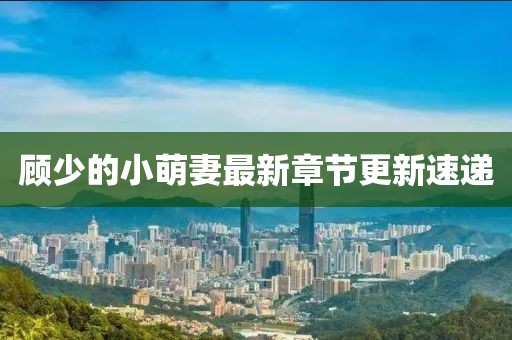 顧少的小萌妻最新章節(jié)更新速遞