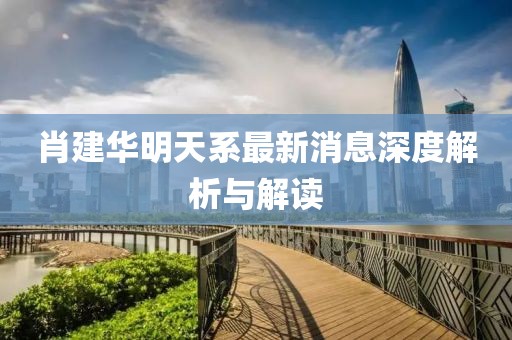 肖建華明天系最新消息深度解析與解讀