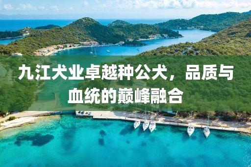 九江犬業(yè)卓越種公犬，品質(zhì)與血統(tǒng)的巔峰融合