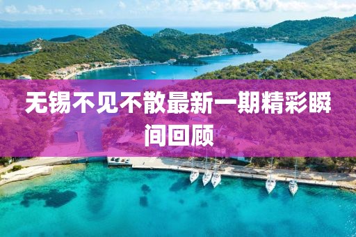 無錫不見不散最新一期精彩瞬間回顧