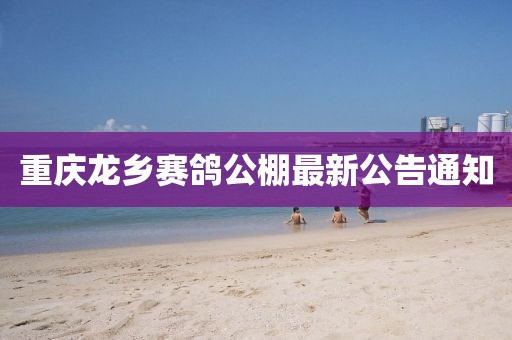 重慶龍鄉(xiāng)賽鴿公棚最新公告通知