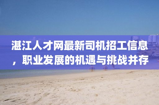 湛江人才網(wǎng)最新司機招工信息，職業(yè)發(fā)展的機遇與挑戰(zhàn)并存
