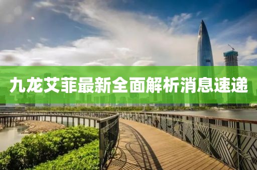 九龍艾菲最新全面解析消息速遞