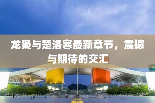 龍梟與楚洛寒最新章節(jié)，震撼與期待的交匯