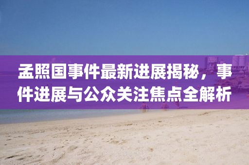 孟照國事件最新進展揭秘，事件進展與公眾關注焦點全解析