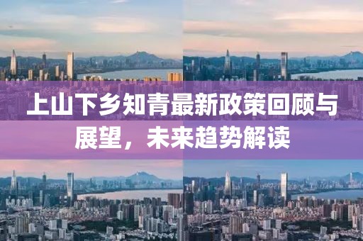 上山下鄉(xiāng)知青最新政策回顧與展望，未來趨勢解讀
