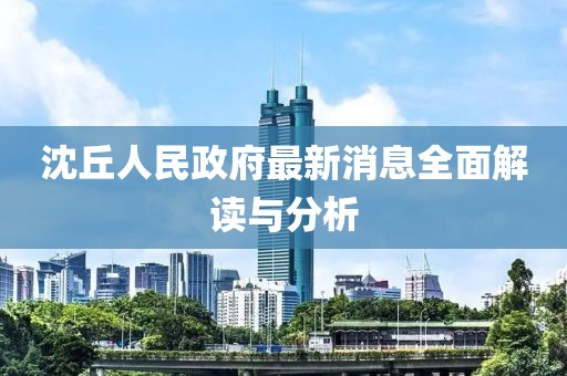 沈丘人民政府最新消息全面解讀與分析