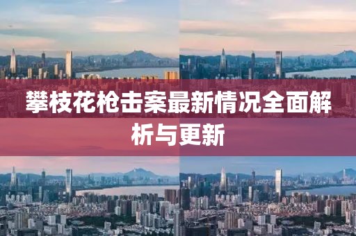 攀枝花槍擊案最新情況全面解析與更新