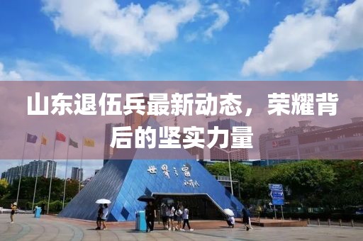 山東退伍兵最新動(dòng)態(tài)，榮耀背后的堅(jiān)實(shí)力量