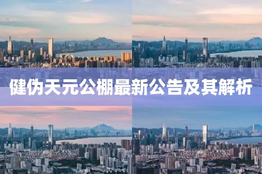 健偽天元公棚最新公告及其解析