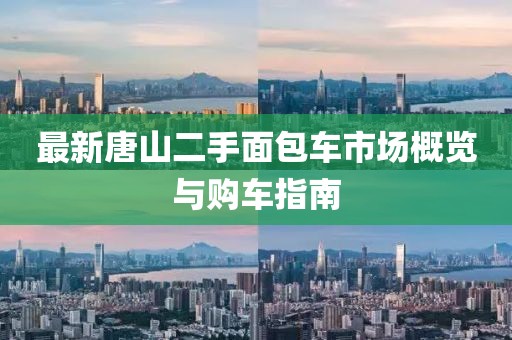 最新唐山二手面包車市場概覽與購車指南