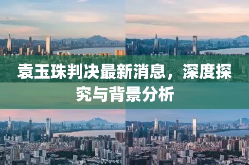 袁玉珠判決最新消息，深度探究與背景分析