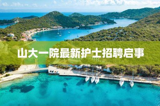 山大一院最新護(hù)士招聘啟事