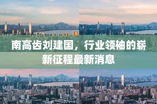 南高齒劉建國，行業(yè)領(lǐng)袖的嶄新征程最新消息