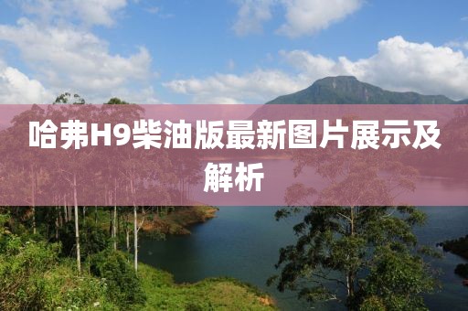 哈弗H9柴油版最新圖片展示及解析