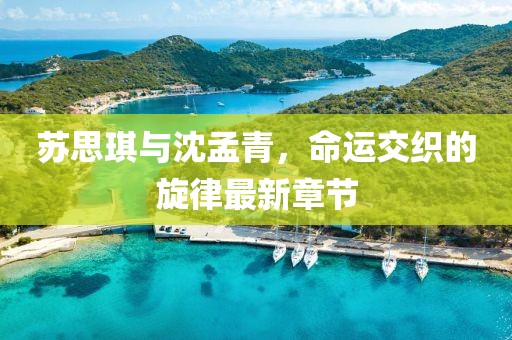 蘇思琪與沈孟青，命運(yùn)交織的旋律最新章節(jié)