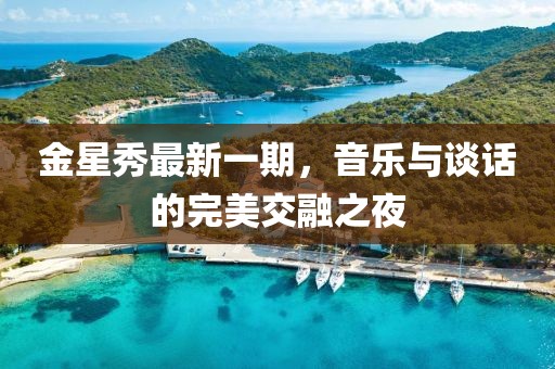 金星秀最新一期，音樂與談話的完美交融之夜