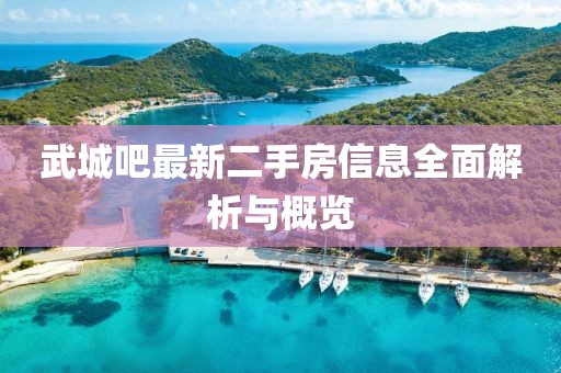 武城吧最新二手房信息全面解析與概覽