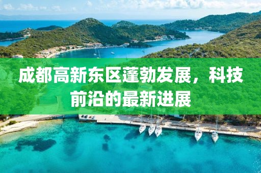 成都高新東區(qū)蓬勃發(fā)展，科技前沿的最新進(jìn)展