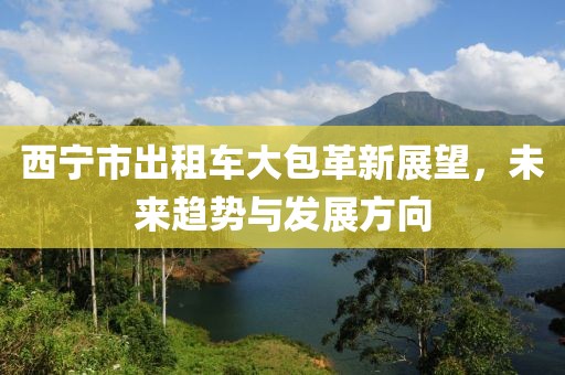 西寧市出租車大包革新展望，未來趨勢(shì)與發(fā)展方向