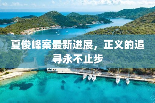 夏俊峰案最新進(jìn)展，正義的追尋永不止步