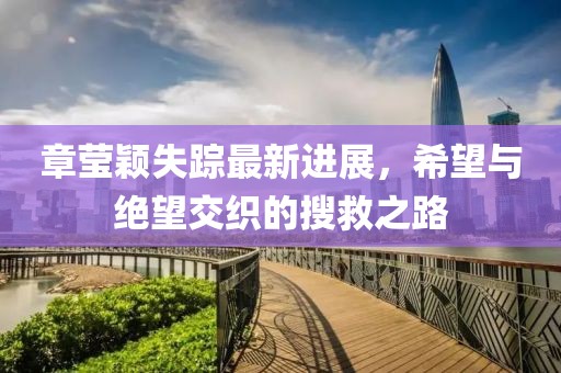 章瑩穎失蹤最新進展，希望與絕望交織的搜救之路