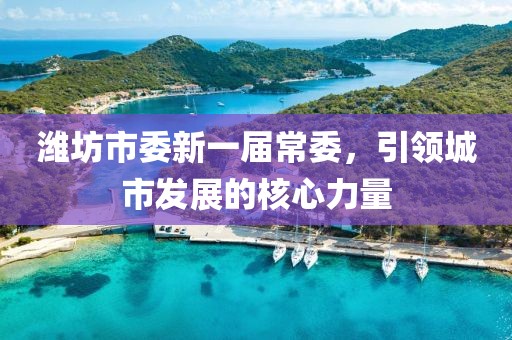 濰坊市委新一屆常委，引領(lǐng)城市發(fā)展的核心力量