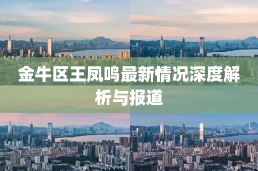 金牛區(qū)王鳳鳴最新情況深度解析與報(bào)道