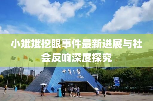 小斌斌挖眼事件最新進(jìn)展與社會(huì)反響深度探究