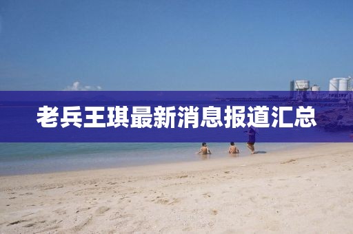 2025年3月17日 第3頁