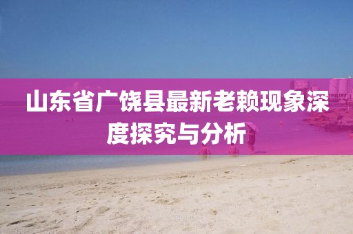 山東省廣饒縣最新老賴現(xiàn)象深度探究與分析