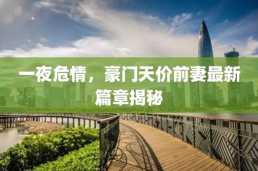 一夜危情，豪門天價(jià)前妻最新篇章揭秘