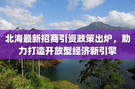 北海最新招商引資政策出爐，助力打造開放型經(jīng)濟新引擎