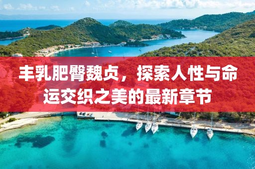 豐乳肥臀魏貞，探索人性與命運(yùn)交織之美的最新章節(jié)