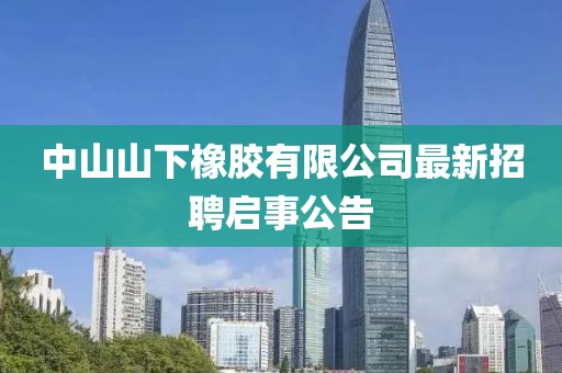 怕你松手 第2頁