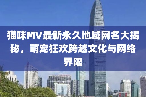 貓咪MV最新永久地域網(wǎng)名大揭秘，萌寵狂歡跨越文化與網(wǎng)絡(luò)界限