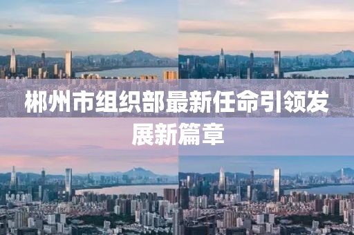 郴州市組織部最新任命引領(lǐng)發(fā)展新篇章