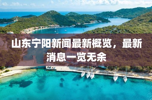 山東寧陽新聞最新概覽，最新消息一覽無余